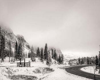 Trees on snow covered road against sky