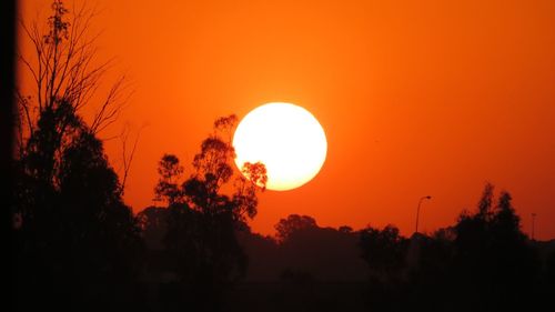 Silhouette trees against orange sky during sunset