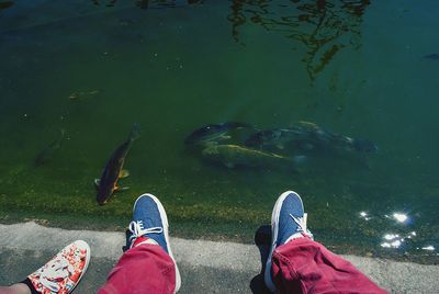 Low section of man standing in lake