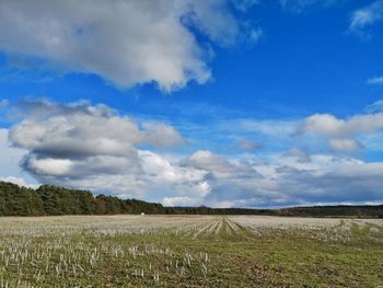 Scenic view of agricultural field against sky