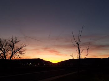 Silhouette of trees at sunset