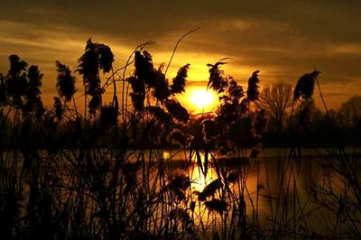 Scenic view of lake at sunset