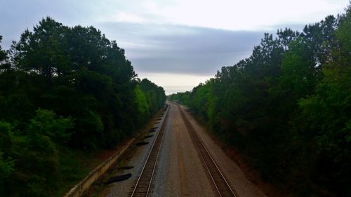 Railroad tracks amidst trees against sky