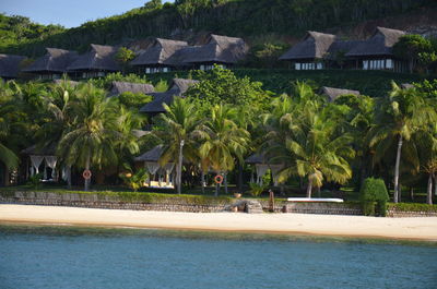 Scenic view of palm trees at beach