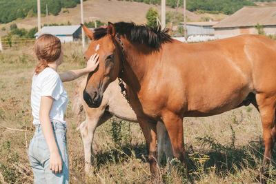 Girl petting a horse in the meadow. trust and tenderness of the girl to the horse