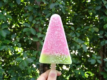 Close-up of hand holding ice cream cone