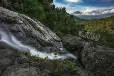 Scenic view of waterfall in forest