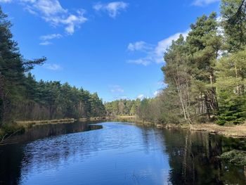 Scenic view of lake in forest against sky