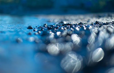 Serene baltic sea shoreline. shallow depth of field picture of baltic sea shores during sunrise. 