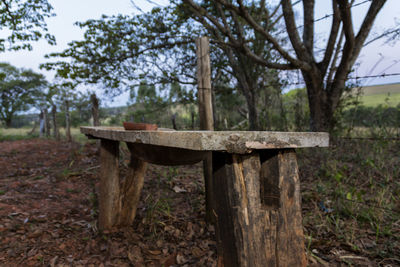 Wooden bench on field against trees in forest