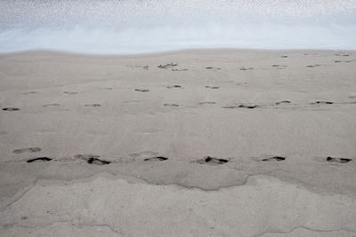 High angle view of desert land