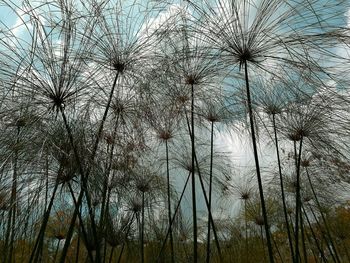 Low angle view of trees against sky