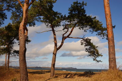 Baltic Sea