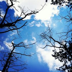 Low angle view of bare trees against cloudy sky