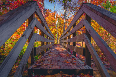 Bridge amidst trees in forest during autumn