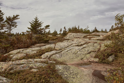 Scenic view of land against sky