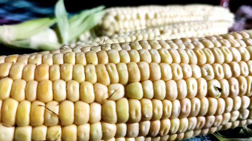 Close-up of corn for sale at market stall