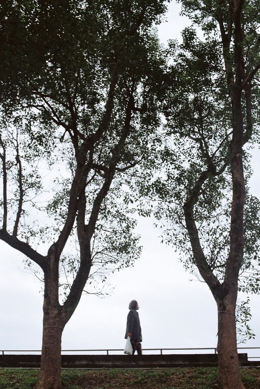 REAR VIEW OF WOMAN SITTING ON BENCH BY TREE