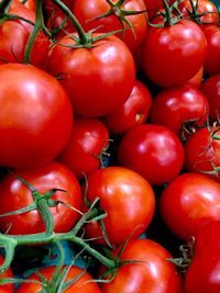 Full frame shot of tomatoes in market