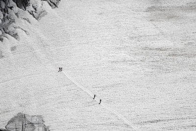 High angle view of people on land