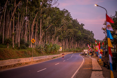 Cars on road by trees against sky in city