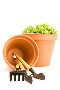 High angle view of tea cup against white background