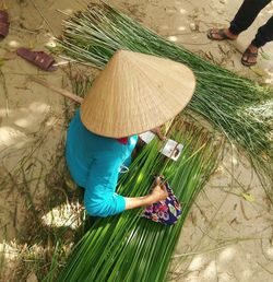 High angle view of woman working on grass