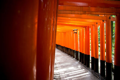 Footpath amidst torii gates at fushimi inari shrine