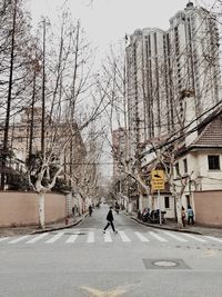 Bare trees by road against buildings in city