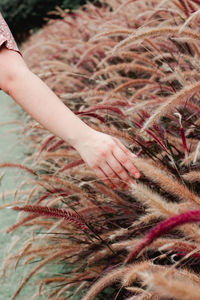 Close-up of woman hand with butterfly