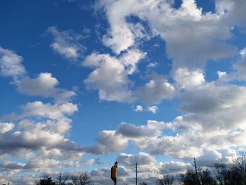 Low angle view of trees against blue sky