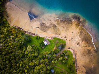 High angle view of trees on land