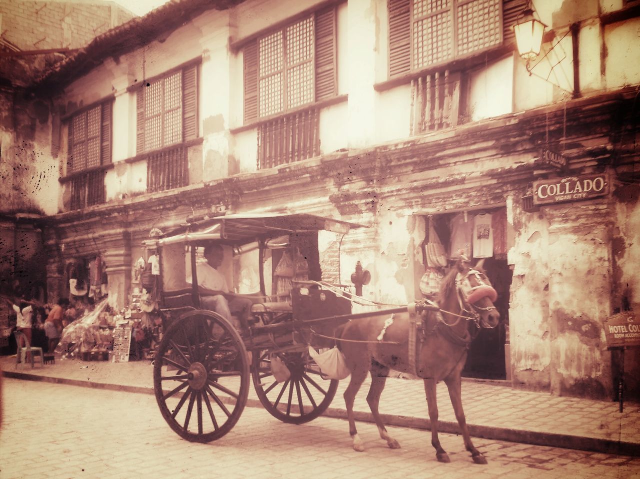 TWO HORSES ON STREET