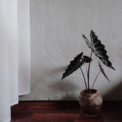 wall - building feature