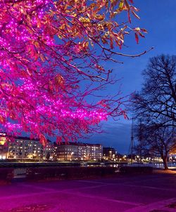 Illuminated trees by buildings against sky at night