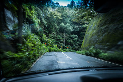 Road seen through car windshield