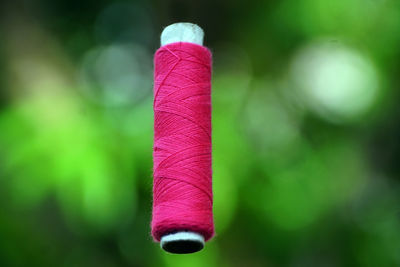 Close-up of pink feather