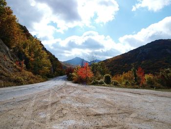 Road amidst trees against sky