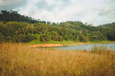 Scenic view of lake and trees against sky