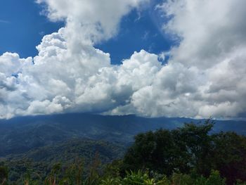 Scenic view of landscape against cloudy sky