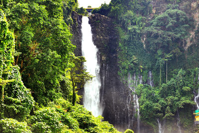 Scenic view of waterfall in forest