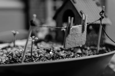 Close-up of model house in bucket