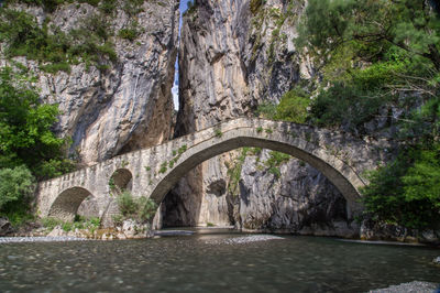 Arch bridge over river amidst trees