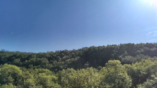 Scenic view of green landscape