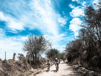 People walking on plants against sky