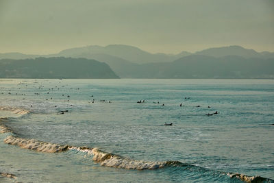 Scenic view of sea against sky