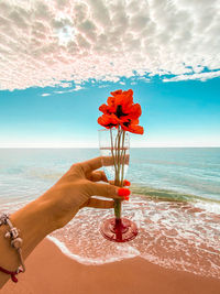 Hand holding drink against sea