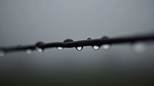 drop