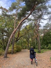 Low angle view of man standing on tree