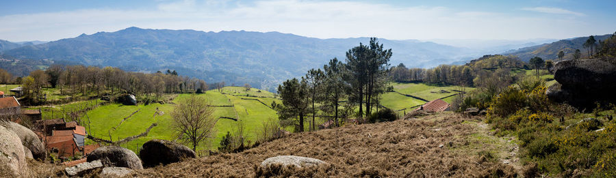 Panoramic view of trees on landscape against sky